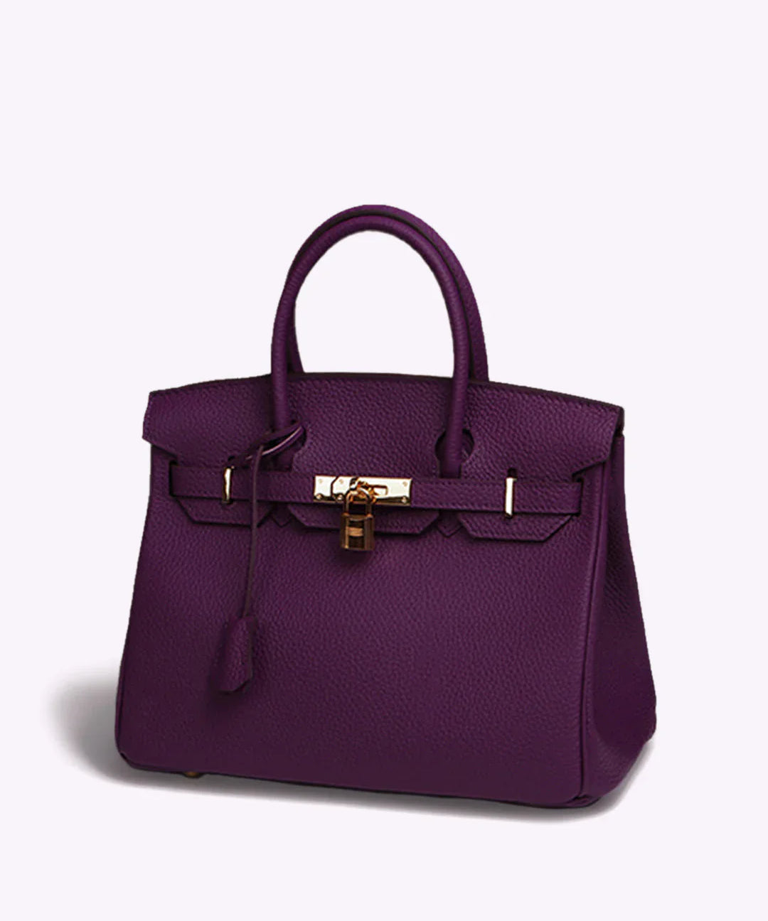 Luxe Leren Handtas – Stijlvolle Remi met Gouden Details en Tijdloze Klasse