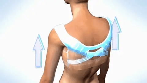 Eloise houding corrigerende BH – extra ondersteuning & comfort voor dagelijks gebruik